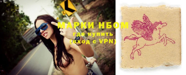 хмурый Гусь-Хрустальный