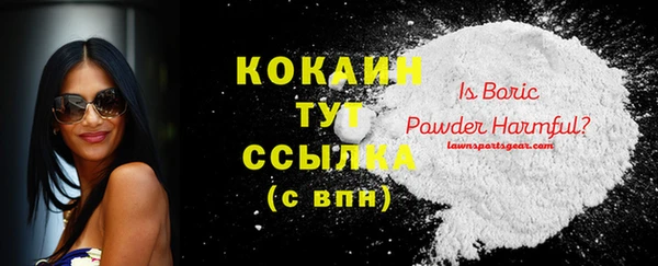 дурь Гусев