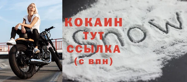 меф Арсеньев