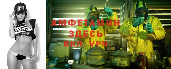 стафф Аркадак